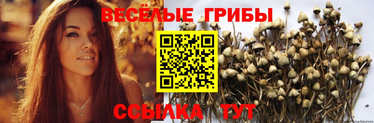 Псилоцибиновые грибы Magic Shrooms Барабинск